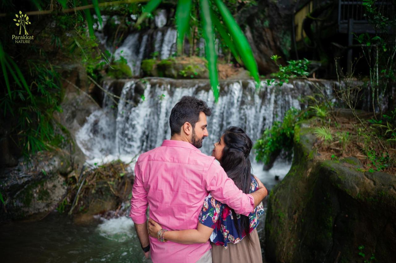 Parakkat Nature Resort Munnar Extérieur photo